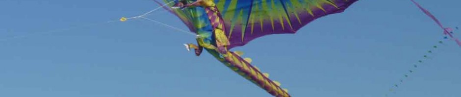Kites Flying Treasure Island Beach Florida